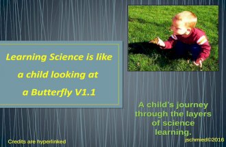 Science is like a child looking at a butterfly