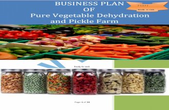 Business plan,of dehydration vegetable.m Rahil