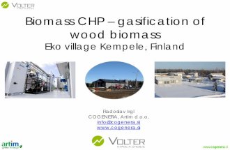 Biomass heat and power eco village-en