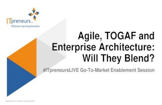 Agile, TOGAF and Enterprise Architecture:  Will They Blend?