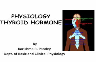 Physiology thyroid hormone