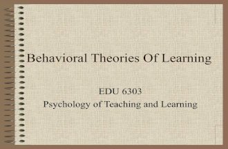 Behavioral theories of learning