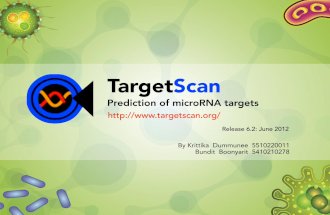 TargetScan