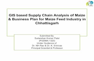 GIS based Supply Chain Analysis of Maize & Business Plan for Maize Feed Industry in Chhattisgarh
