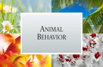 Animal behavior notes