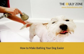 How to Bathe A Dog at Home