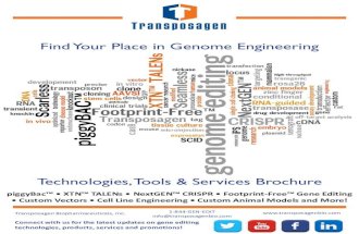 Transposagen Genome Engineering Brochure 2014