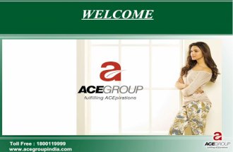 Ace group india