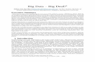 Big Data - Big Deal? - Edison's Academic Paper in SMU