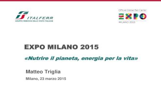 Presentazione dell'AD di Italferr Ing. Triglia #Expo2015