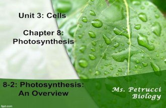 8-2 photosynthesis an overview