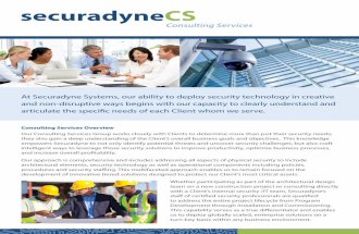 Securadyne_Consulting_Services