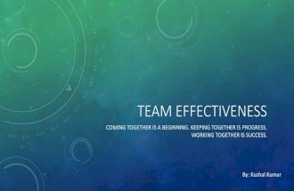 Team effectiveness