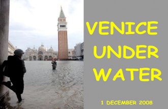 Venice Under Water Dec 01 2008