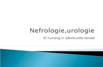 141587248 nefrologie-urologie