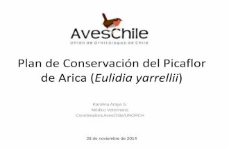 Plan de Conservación del Picaflor de Arica