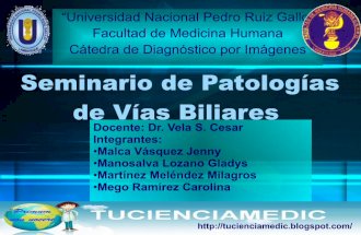 Seminario de-patologas-de-vas-biliarestucienciamedic-1226850612687265-9