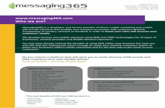 Messaging365 Flyer February 2011