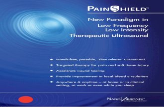 portable therapeutic ultrasound