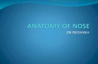 Anatomy of nose