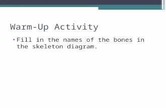 Anatomy & Physiology Lecture Notes - Skeletal system