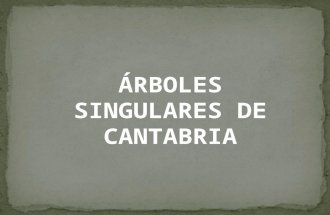 Pps. áRboles De Cantabria