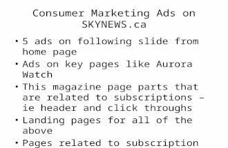 Skynews.ca consumer ecommerce pre redesign
