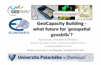 GeoCapacity Building - what future for 'geospatial geoskills'?