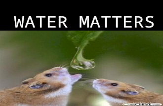 Water matters