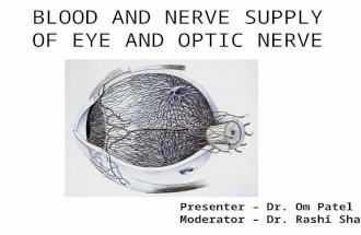 Blood Supply Of Eye and Optic Nerve