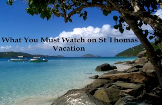 What You Must Watch on St Thomas Vacation