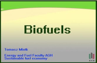 Energy market   biofuels