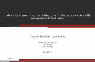 Lattice Boltzmann sur architecture multicoeurs vectorielle - Une approche de haut niveau