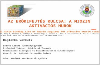 Várkuti Boglárka: Az erőkifejtés kulcsa: a miozin aktivációs húrok - Budapest Science Meetup Május