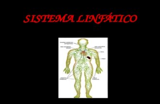 Sistema linfático 10