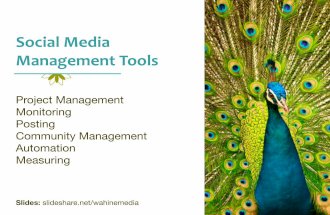 Social Media Management Tools: Pacific New Media