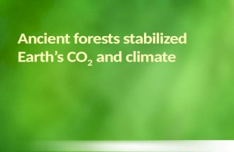 Ancient forests stabilized earth’s co2 and climate