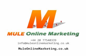 Mule Online Marketing Marketing for Chiropractics PowerPoint