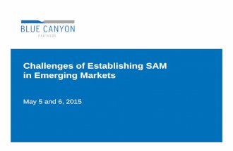 Challenges of Establishing SAM in Emerging Markets