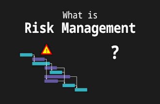 What Is Project Risk Management?