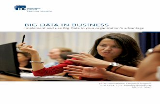 BIG DATA IN BUSINESS Implement and use Big Data to your organization’s advantage