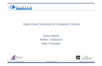 20141030 LinDA Workshop echallenges2014 - Open data commons for european citizens