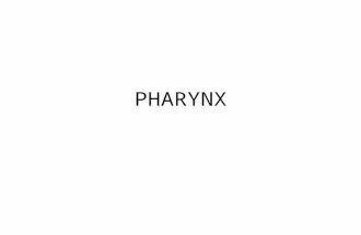 Edwards anatomy of Pharynx