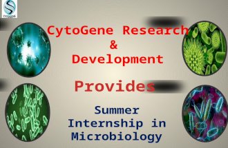 Summer internship in microbiology –a way to a great career