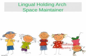 lingual holding arch space maintainer