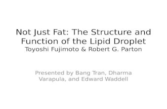 Lipid Droplets