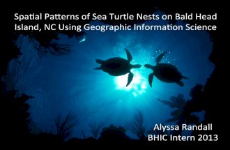 Spatial Patterns of Sea Turtle Nests on Bald Head Island, NC Using GIS