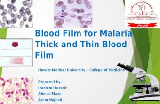 Blood film for malaria