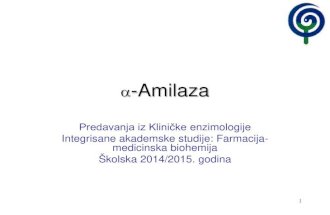 Amilaza 2014