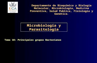 Principales Grupos Bacterianos